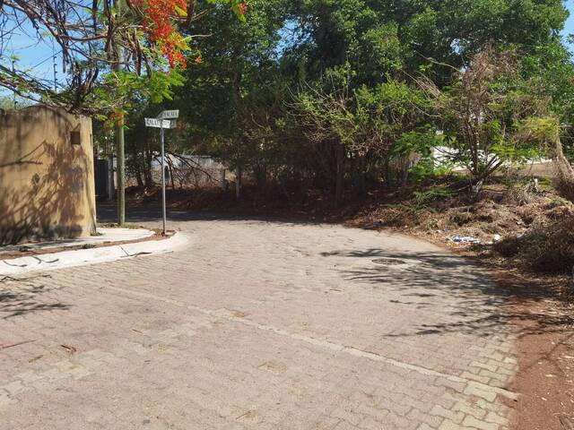 Terreno para construcción para Venta en San Pedro Mixtepec - 4